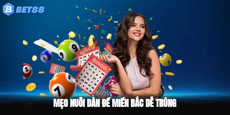 Mẹo nuôi dàn đề miền Bắc dễ trúng